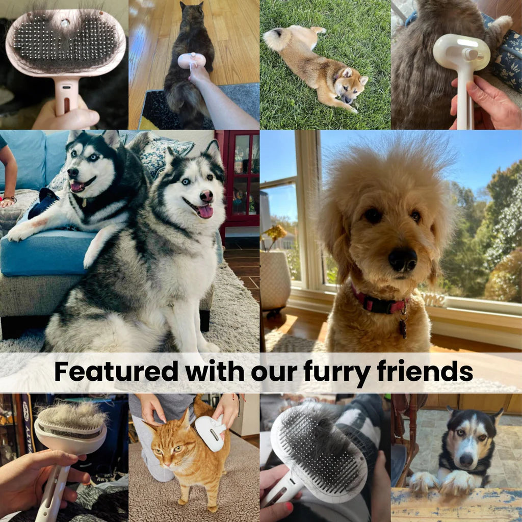 Pet Shower Brush