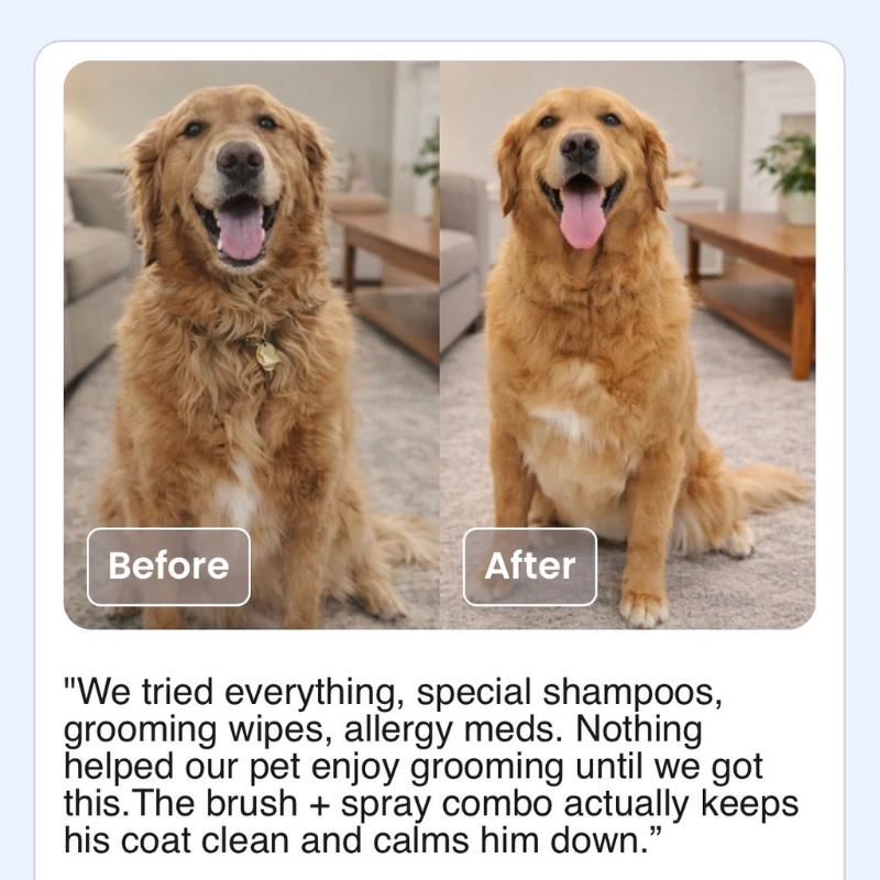 Pet Shower Brush