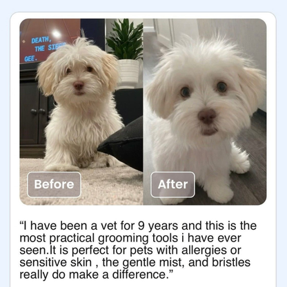 Pet Shower Brush