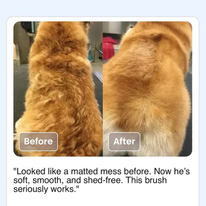 Pet Shower Brush